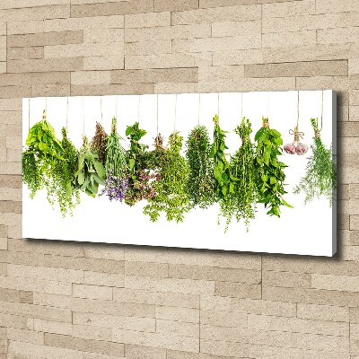 Canvas wall art Herbs on a string