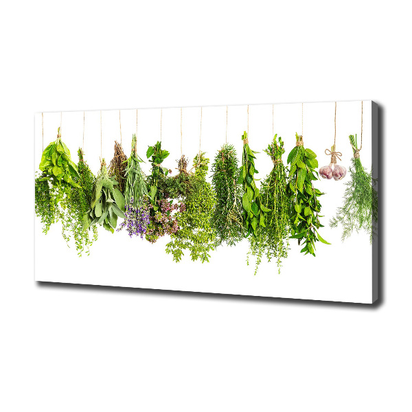 Canvas wall art Herbs on a string