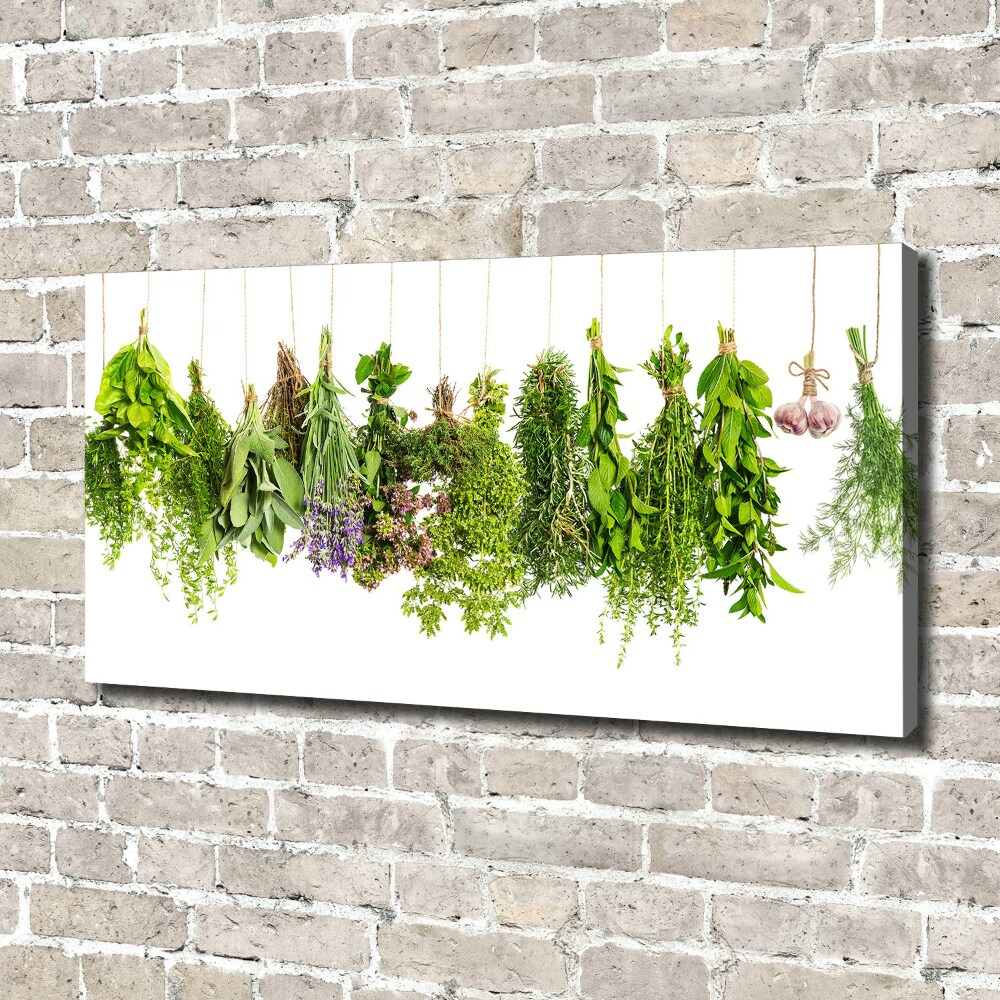 Canvas wall art Herbs on a string