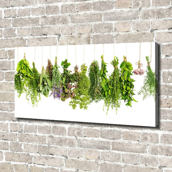 Canvas wall art Herbs on a string