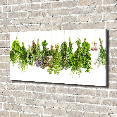 Canvas wall art Herbs on a string