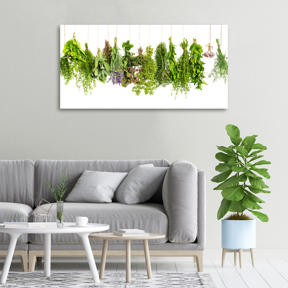 Canvas wall art Herbs on a string