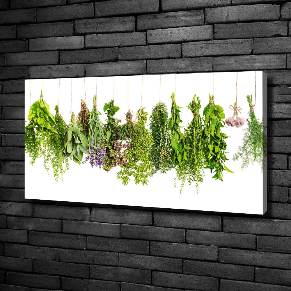 Canvas wall art Herbs on a string