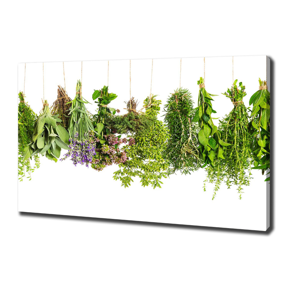 Canvas wall art Herbs on a string