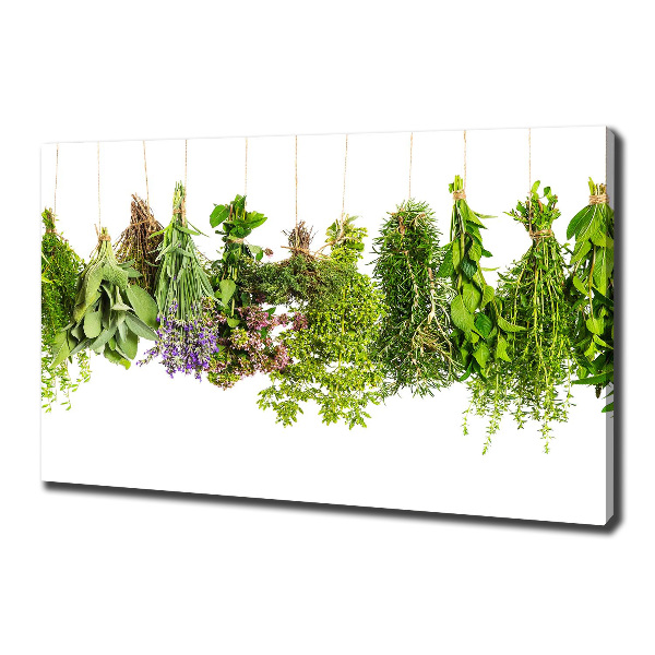 Canvas wall art Herbs on a string