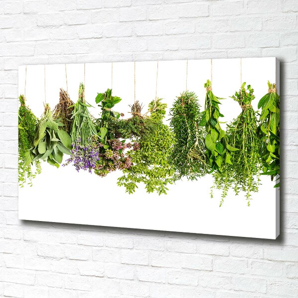 Canvas wall art Herbs on a string