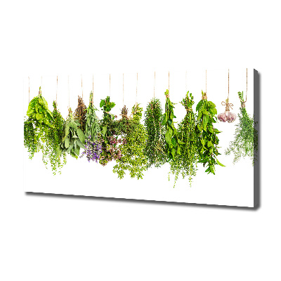 Canvas wall art Herbs on a string