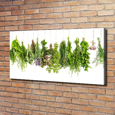 Canvas wall art Herbs on a string