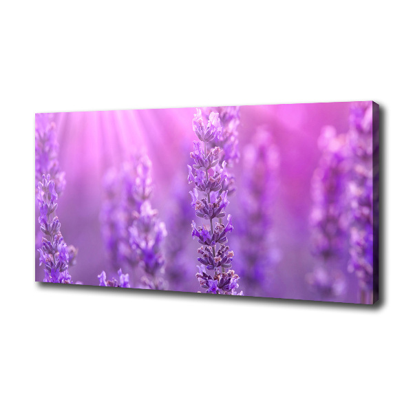 Canvas wall art Lavender