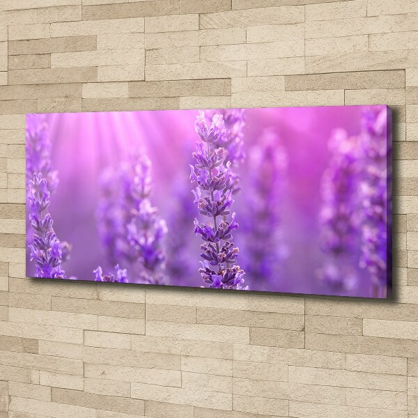 Canvas wall art Lavender