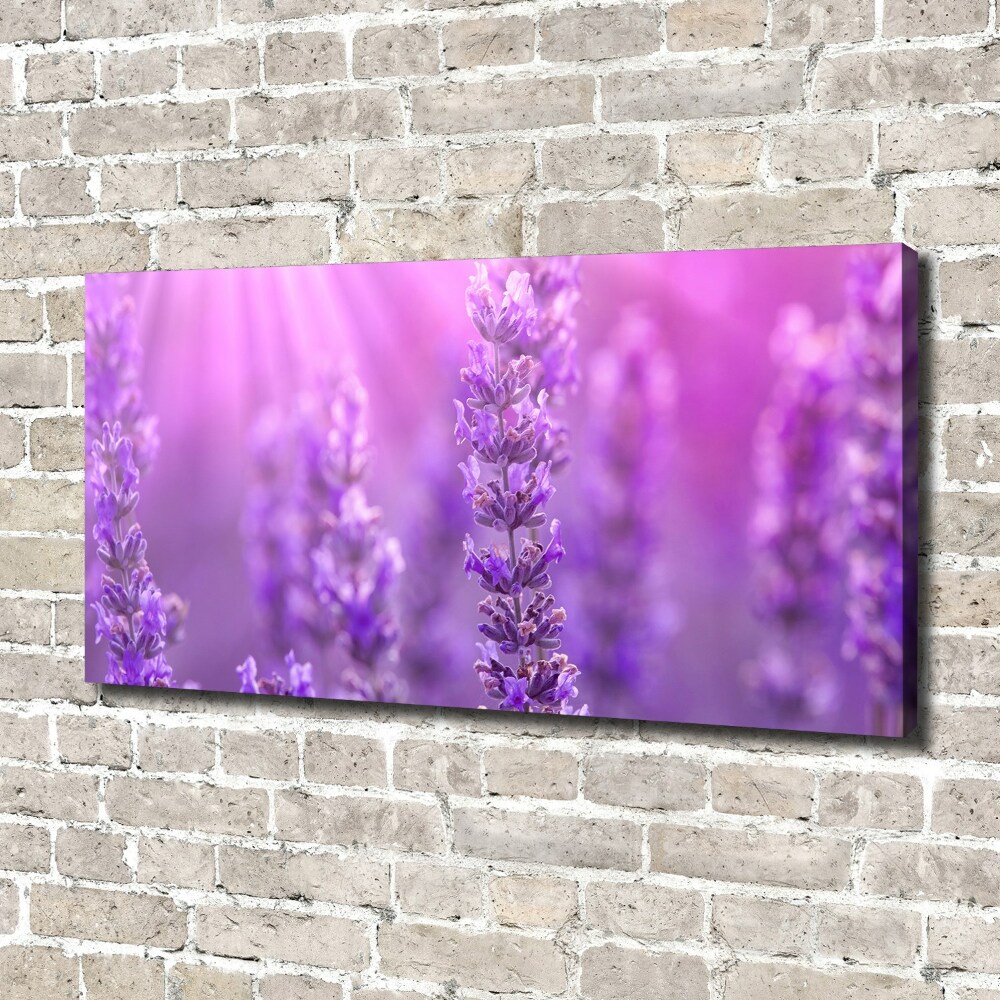 Canvas wall art Lavender