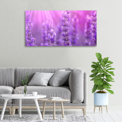 Canvas wall art Lavender