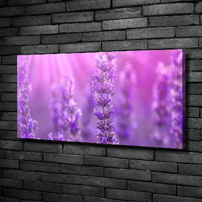 Canvas wall art Lavender