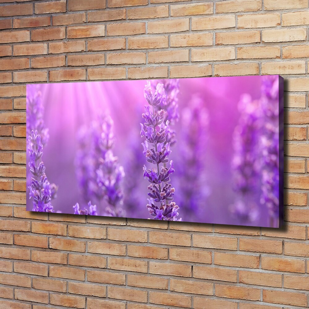 Canvas wall art Lavender