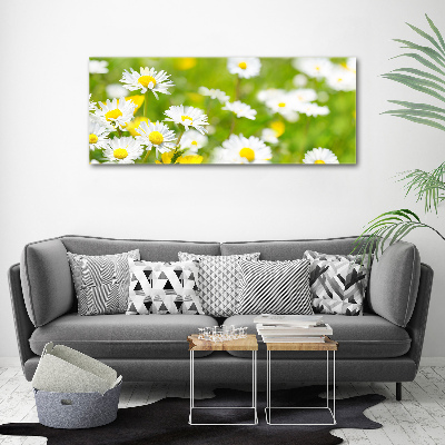 Canvas wall art Daisy