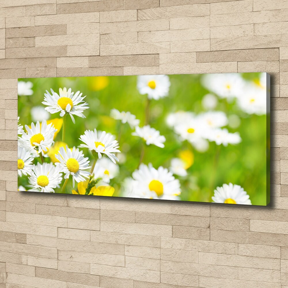 Canvas wall art Daisy