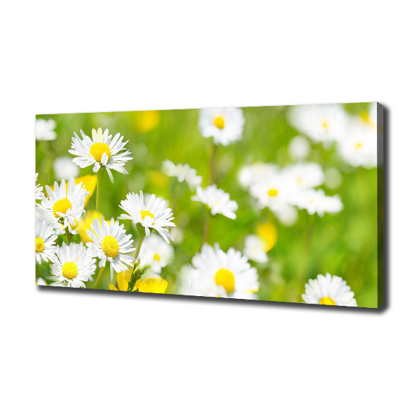 Canvas wall art Daisy