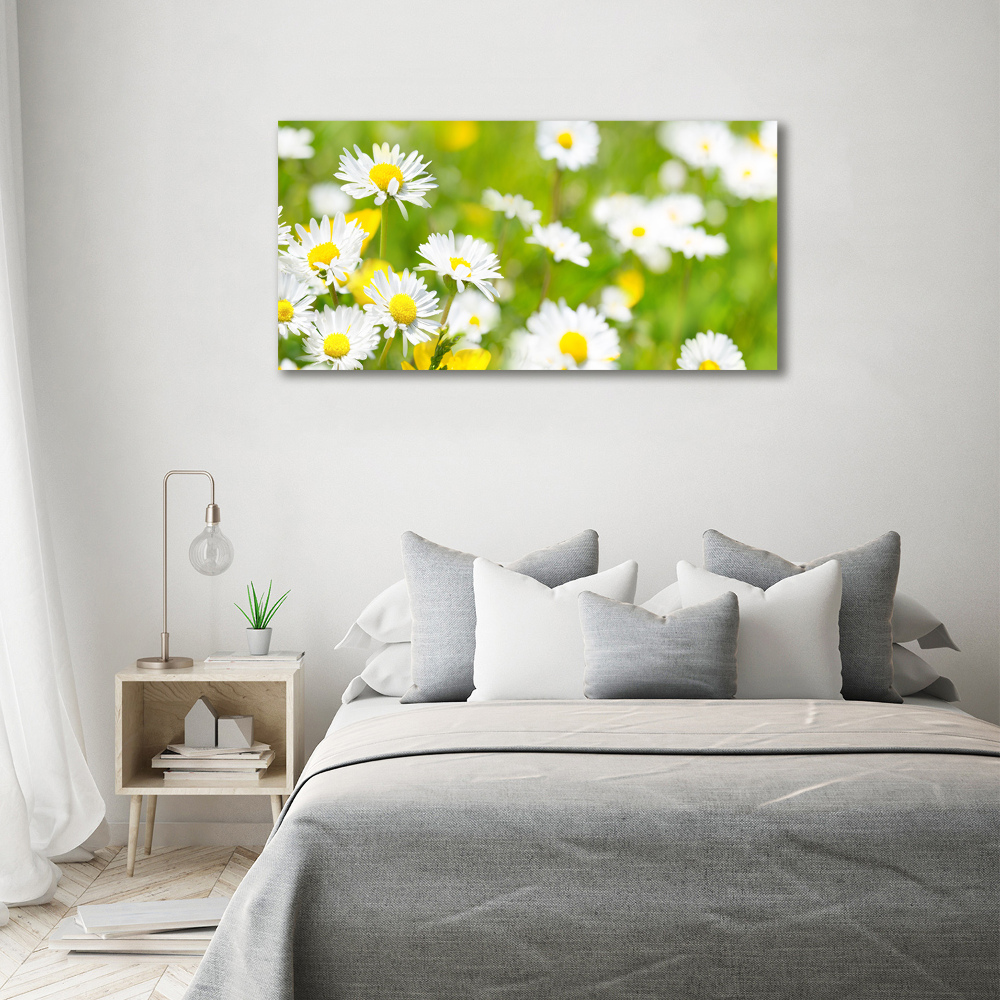 Canvas wall art Daisy