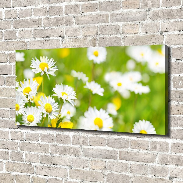 Canvas wall art Daisy