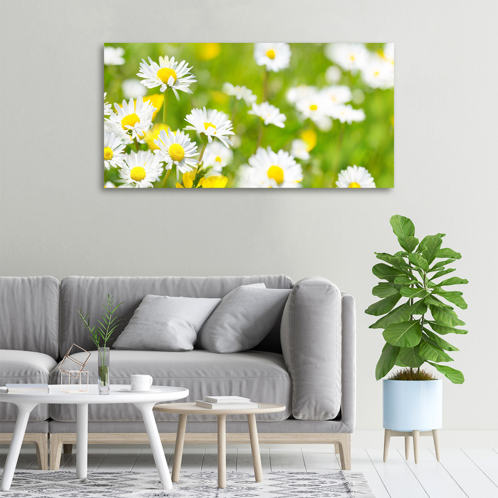 Canvas wall art Daisy