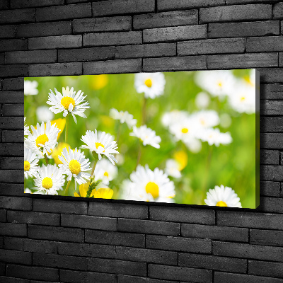 Canvas wall art Daisy