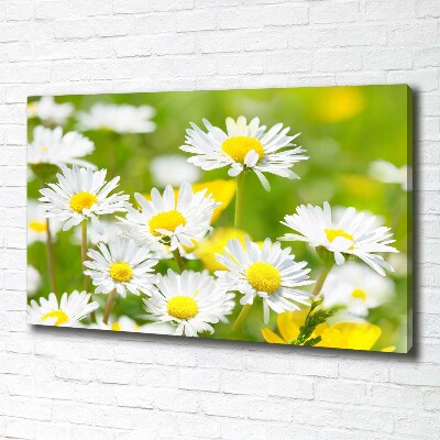 Canvas wall art Daisy