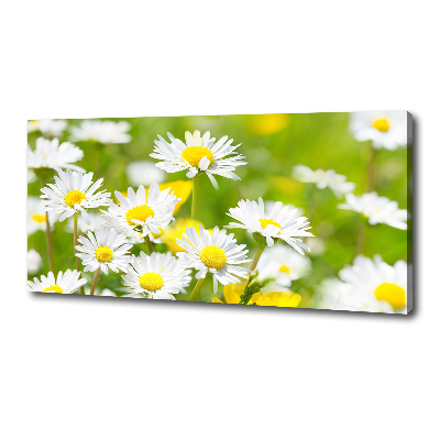 Canvas wall art Daisy