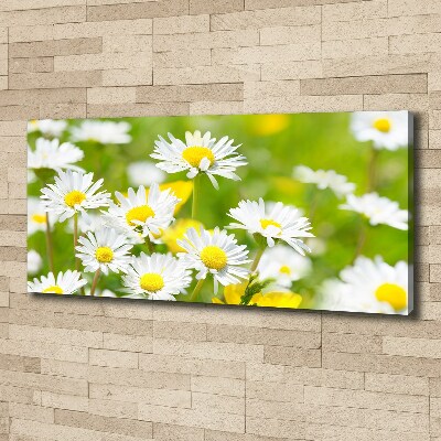 Canvas wall art Daisy