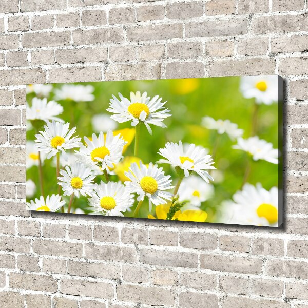 Canvas wall art Daisy