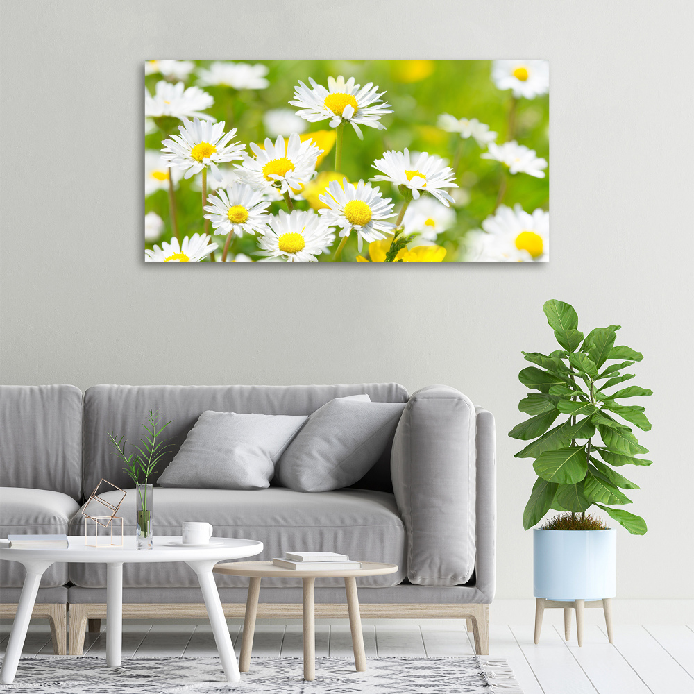 Canvas wall art Daisy