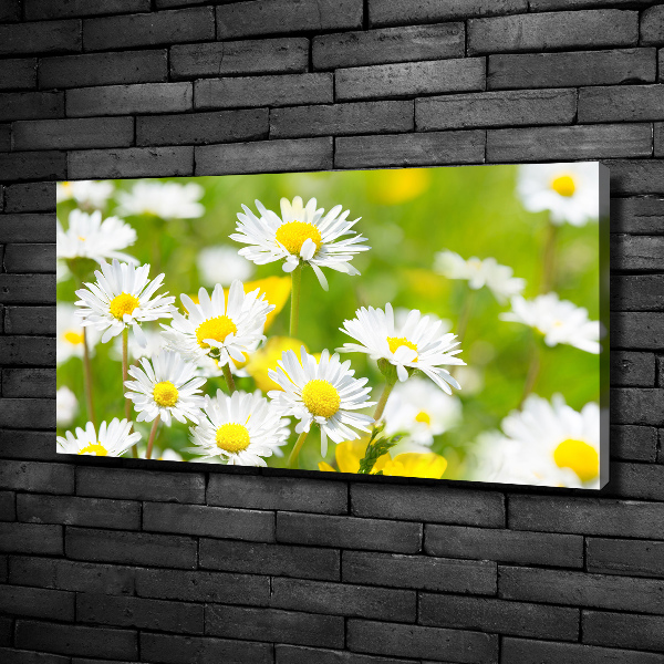 Canvas wall art Daisy