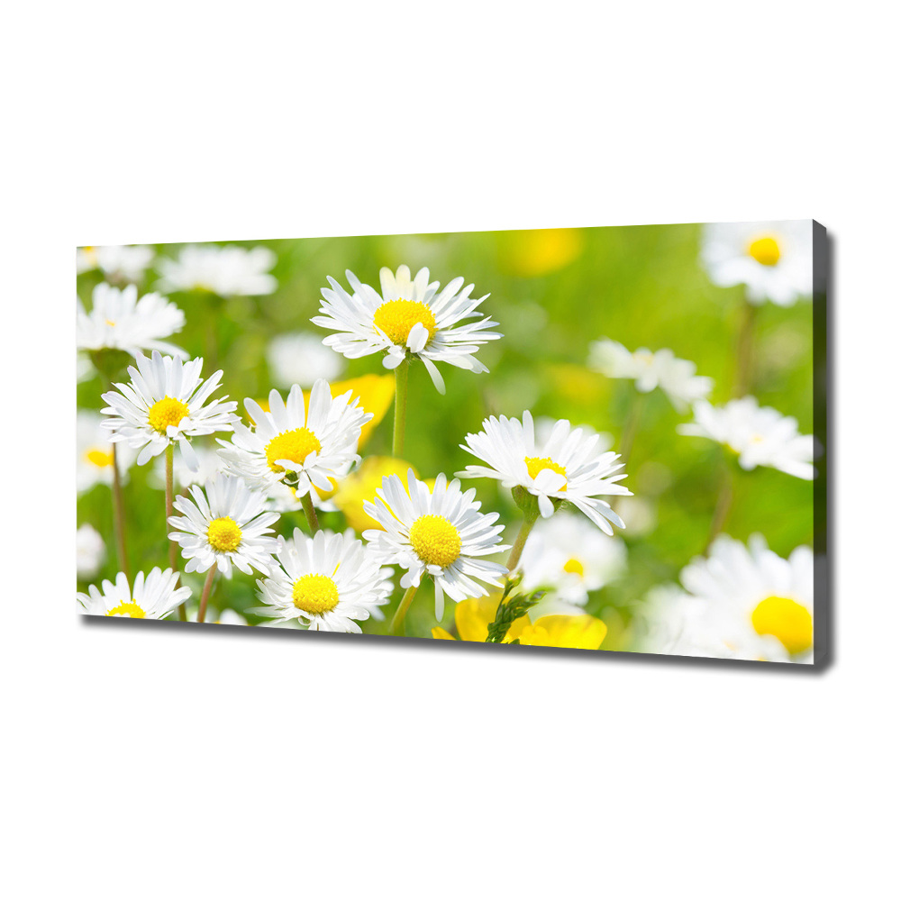 Canvas wall art Daisy