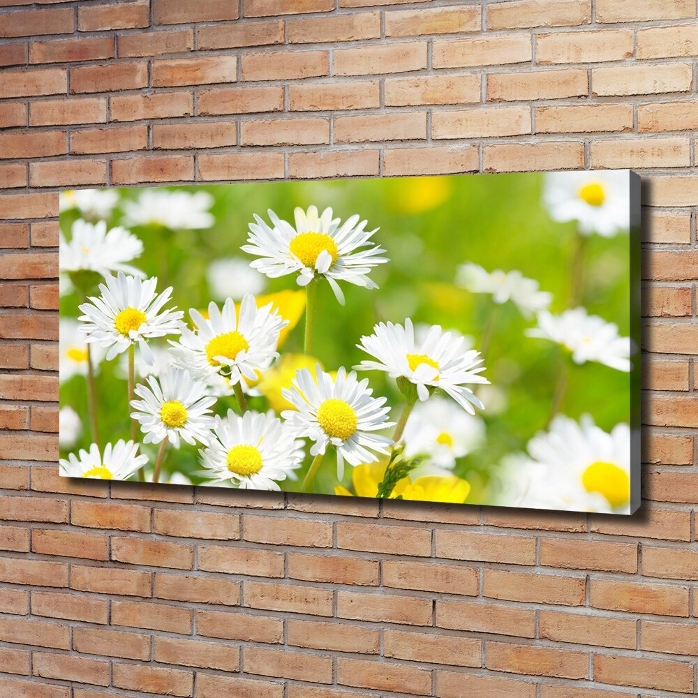 Canvas wall art Daisy