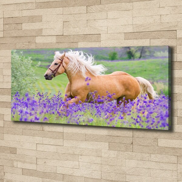 Canvas wall art Horse in the field of lavender