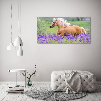 Canvas wall art Horse in the field of lavender