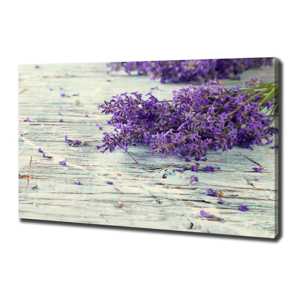 Canvas wall art Lavender