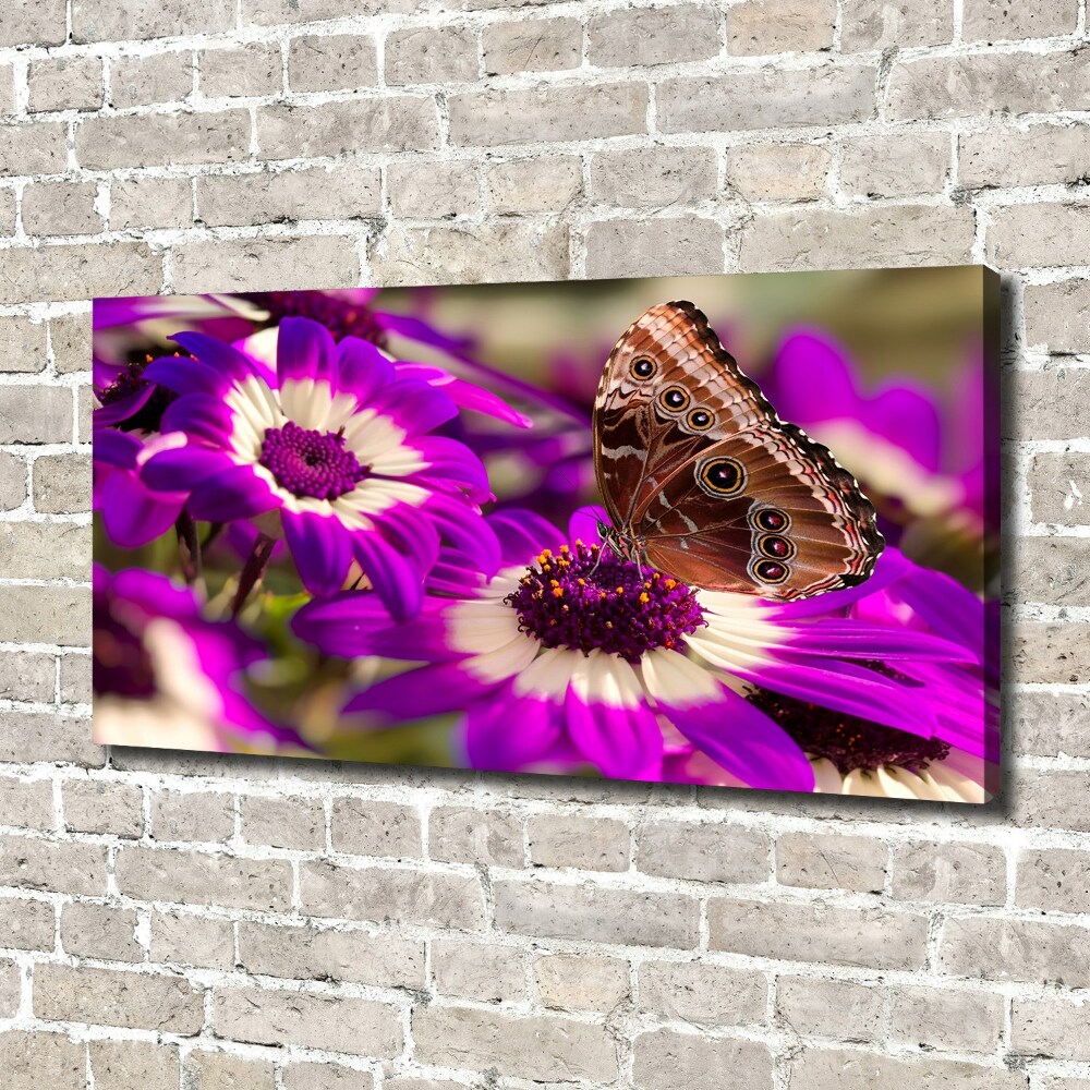 Canvas wall art Flower butterfly