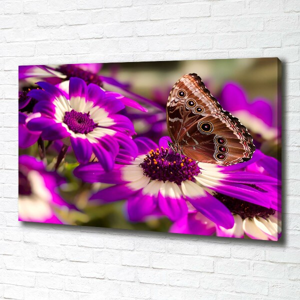 Canvas wall art Flower butterfly