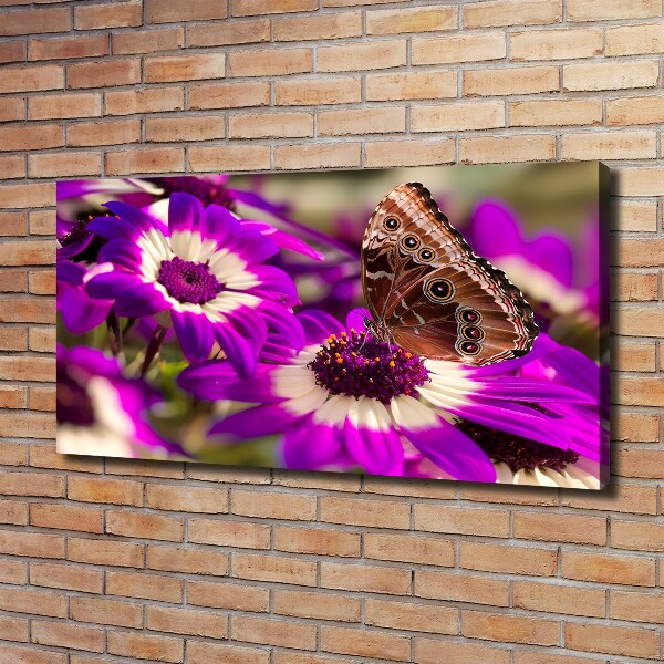 Canvas wall art Flower butterfly