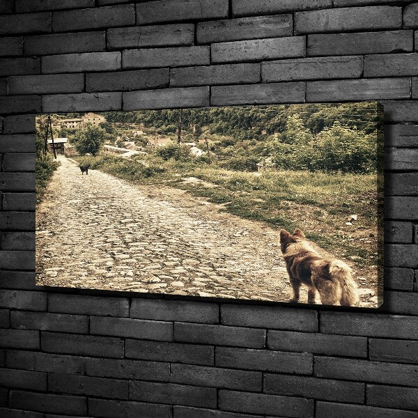 Canvas wall art Two dogs on the hill