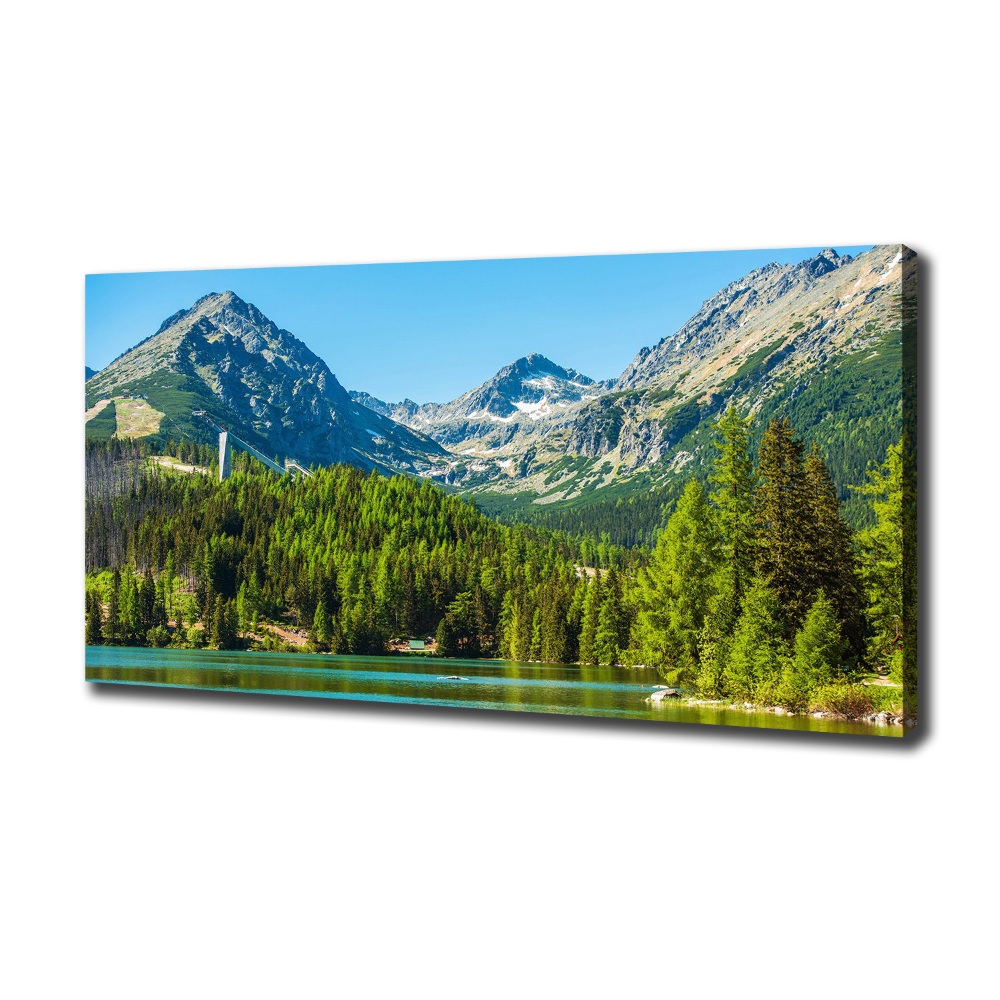 Canvas wall art Lake in the mountains