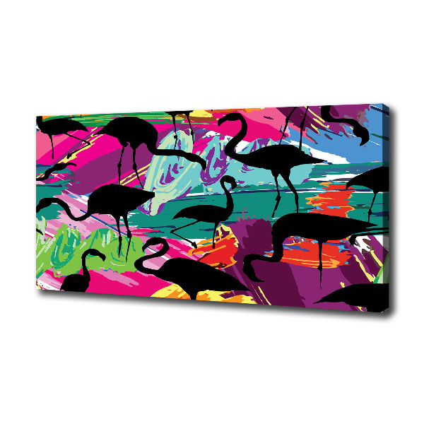 Flamingos