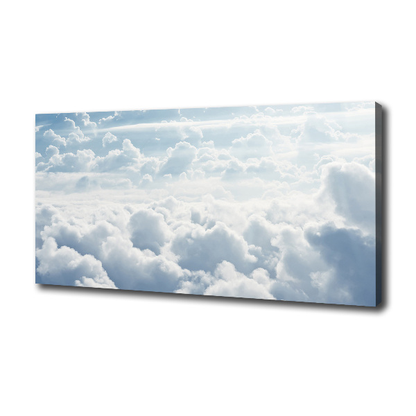 Canvas wall art Bird's flight clouds