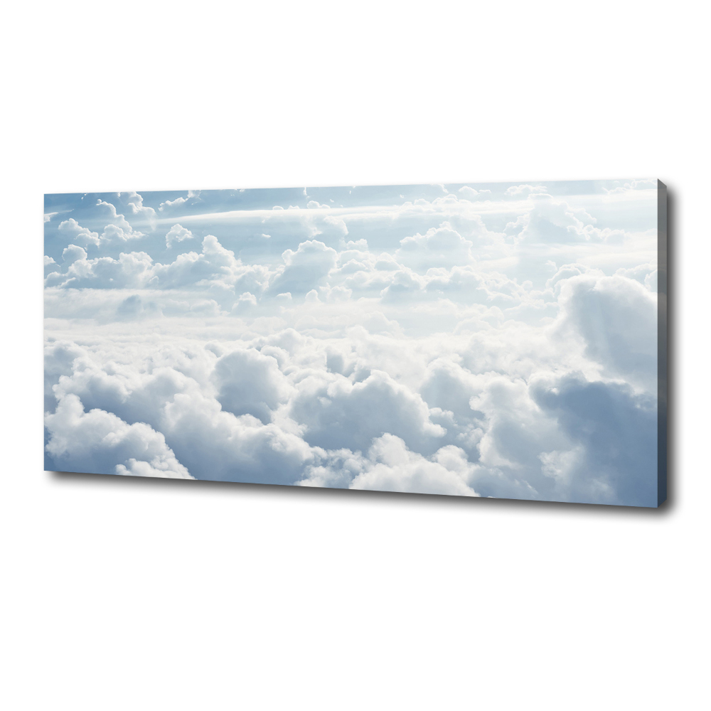 Canvas wall art Bird's flight clouds