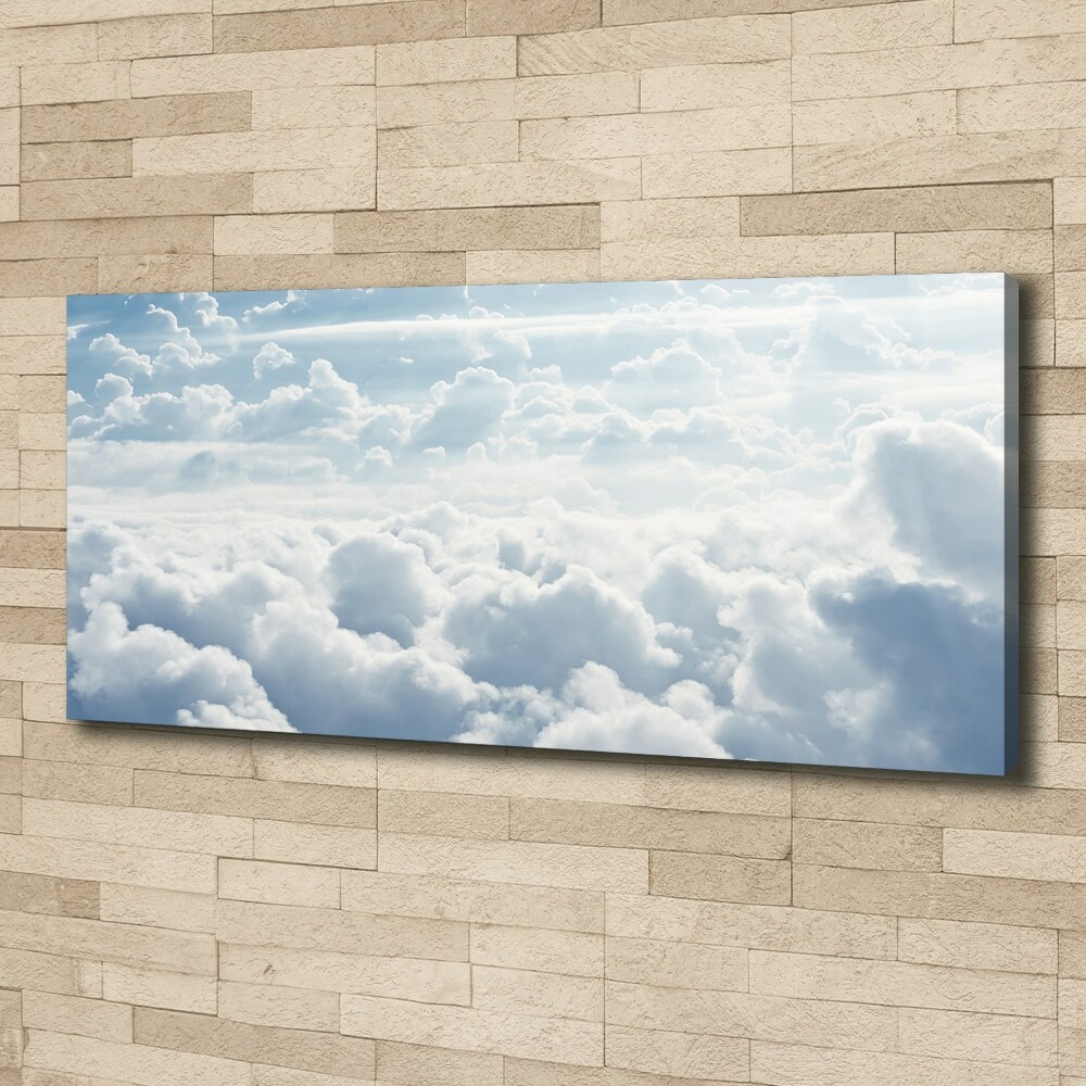 Canvas wall art Bird's flight clouds