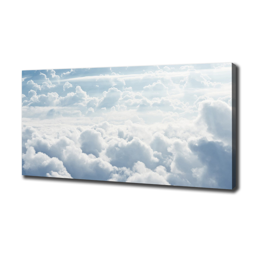 Canvas wall art Bird's flight clouds