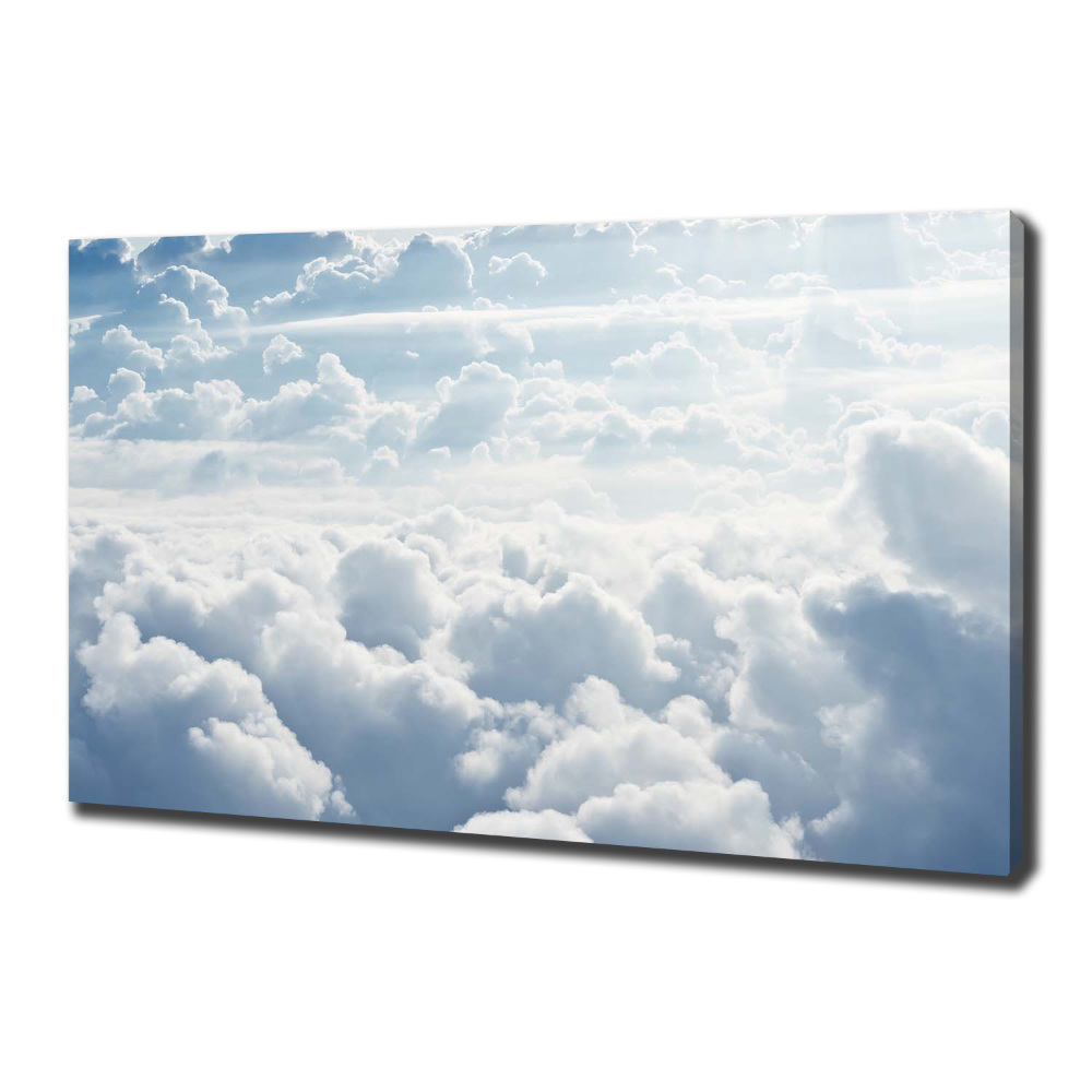 Canvas wall art Bird's flight clouds