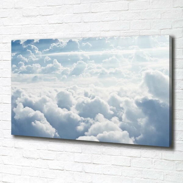 Canvas wall art Bird's flight clouds