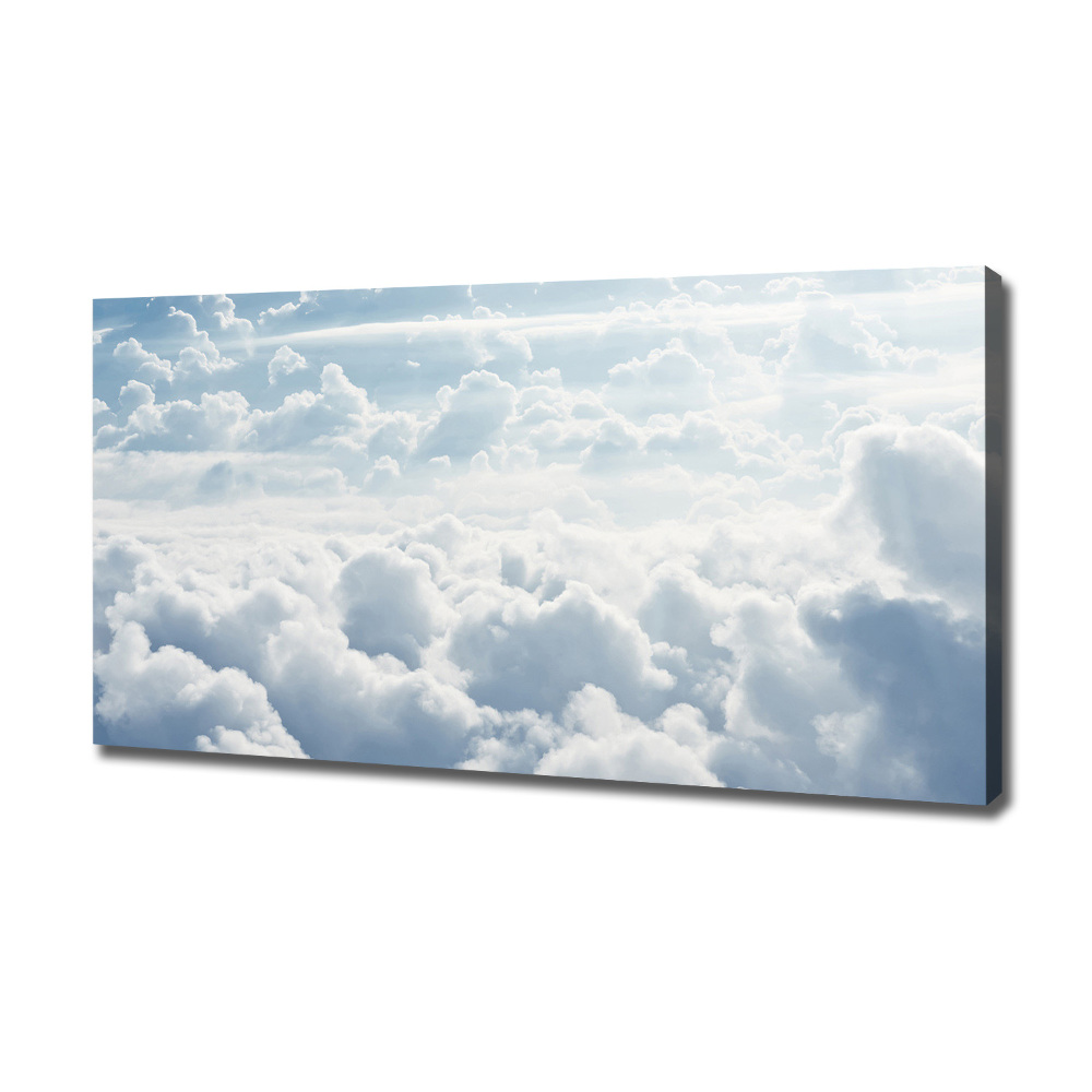 Canvas wall art Bird's flight clouds