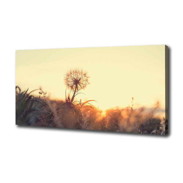 Canvas wall art Dandelion